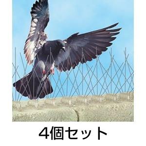 バードスパイク