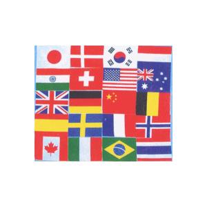 テトロン万国旗（20カ国連続紐付き全長12m）