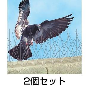 バードスパイク