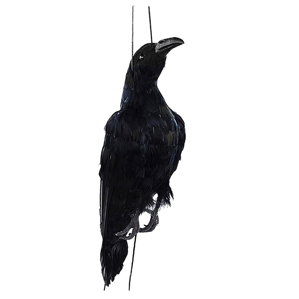 New防鳥クローン・カラス