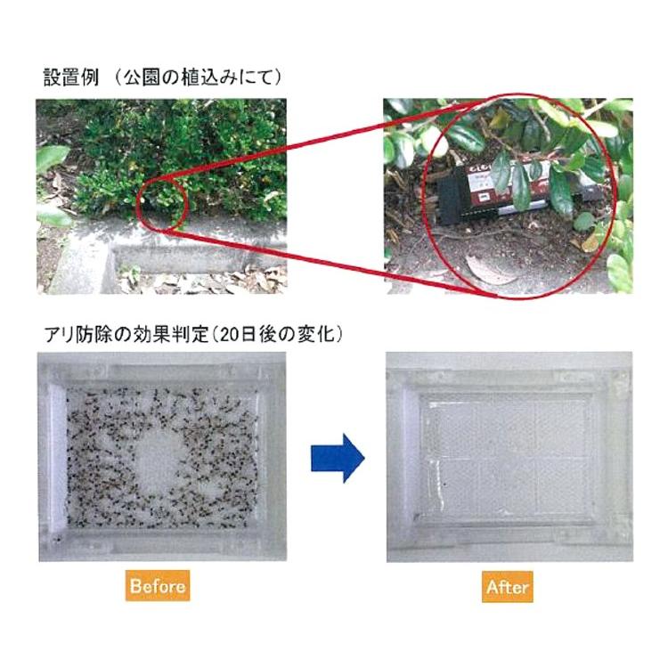 アリ調査専用トラップ