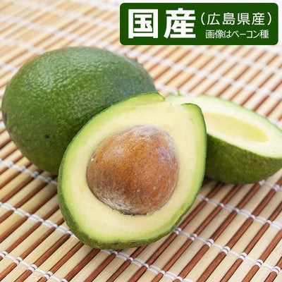 広島県 アボカド 約1kg 4～6玉［代金引換：不可］