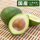 広島県 アボカド 約1kg 4～6玉［代金引換：不可］