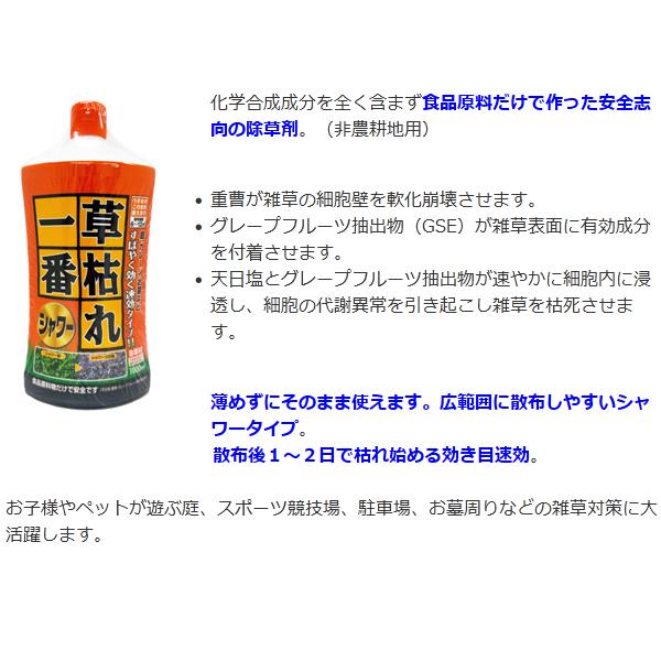 草枯れ一番シャワー