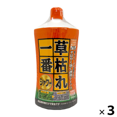 草枯れ一番シャワー