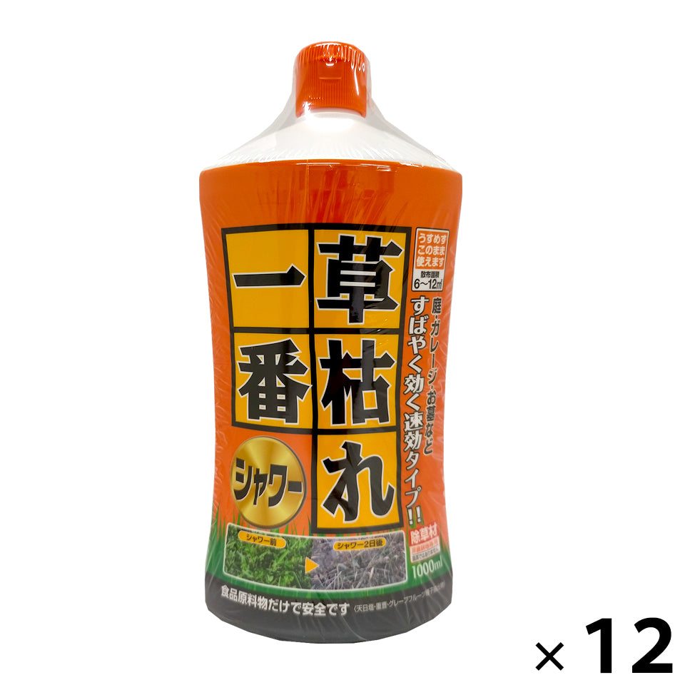 草枯れ一番シャワー