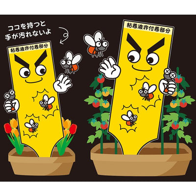 虫取りトラップラベル Mサイズ (5枚入)