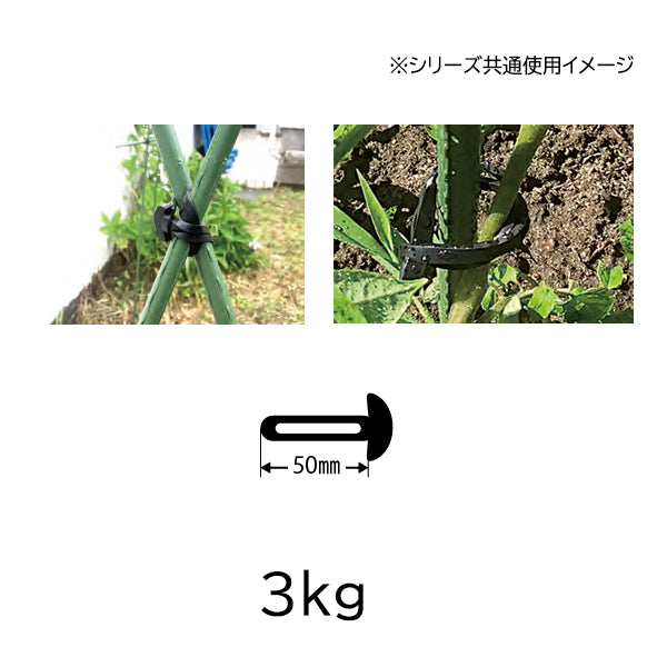 楽らく アンカーバンド 50mm［代金引換：不可］