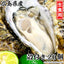 広島県産 生食用 殻付かき［代金引換：不可］