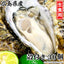 広島県産 生食用 殻付かき［代金引換：不可］