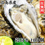 広島県産 生食用 殻付かき［代金引換：不可］