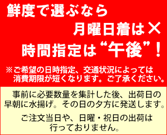 広島県産 生食用かき（むき身）［代金引換：不可］